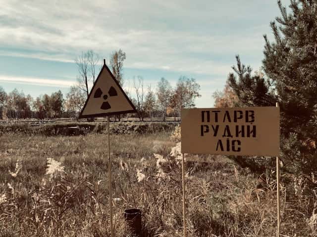an image
